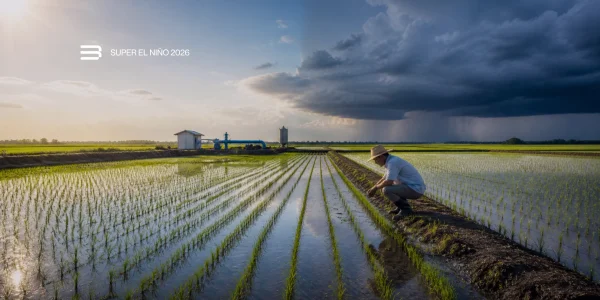 Super El Niño 2026 - Insights Baylis